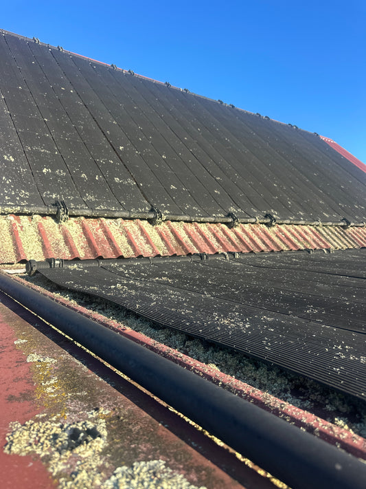 Heliocol Solar Systems No Longer Supported in NZ? We’ve Got You Covered.