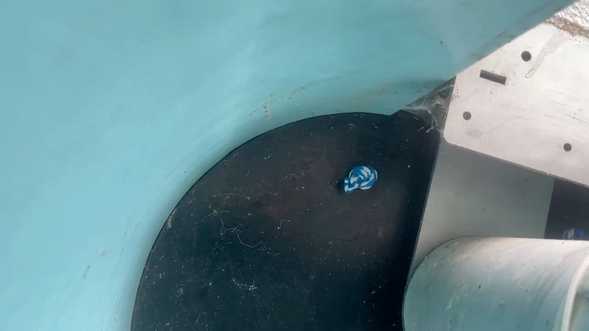 In ground and In deck - Dummy plate, recessed wall detail - Installed