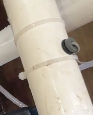 PSH cold water sensor
