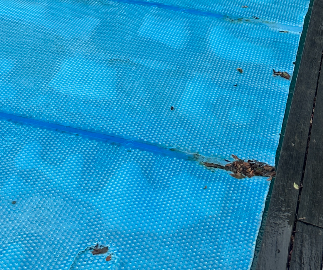 Microplastics in NZ Pools