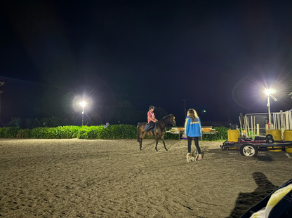 Farm Light Mega - 2 X 30w lights