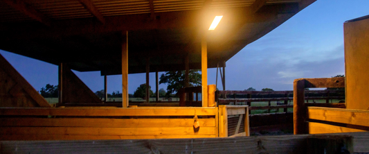 Barn Light Mega - 1 X30w and task light.