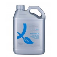 52AQIN2.5L AQUASPA INVIGORATE 2.5L (NON-DG)