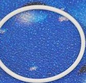 PAL-39-P900-06 PAL LENS ORING